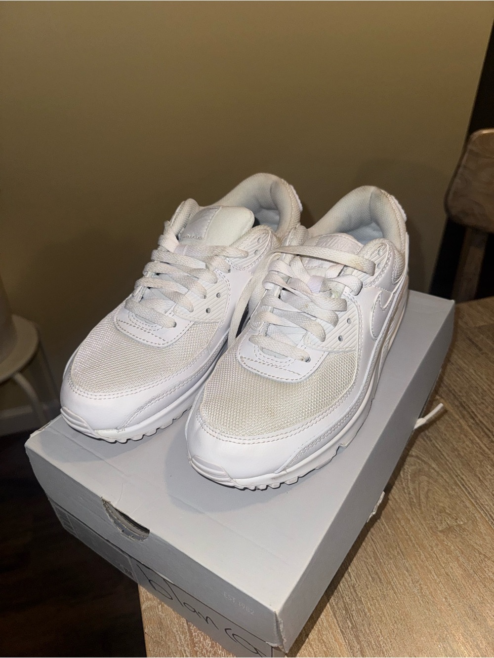 Nike Men's White Low-Top Sneakers - Mesh & Leather